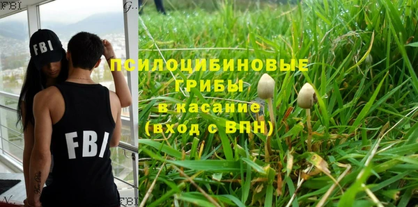 ГАЛЛЮЦИНОГЕННЫЕ ГРИБЫ Верея
