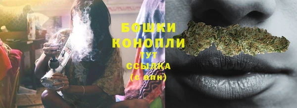 ГАЛЛЮЦИНОГЕННЫЕ ГРИБЫ Верея