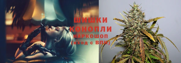 прущие грибы Верхнеуральск
