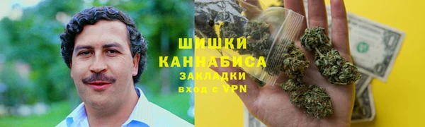 ГАЛЛЮЦИНОГЕННЫЕ ГРИБЫ Верея