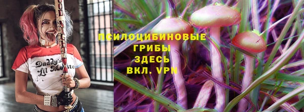 ГАЛЛЮЦИНОГЕННЫЕ ГРИБЫ Верея