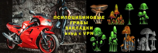 прущие грибы Верхнеуральск