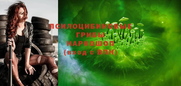 прущие грибы Верхнеуральск